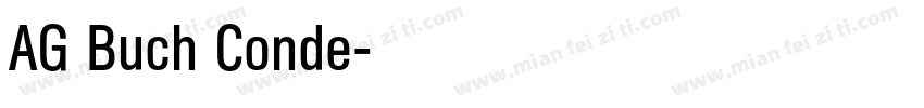 AG Buch Conde字体转换